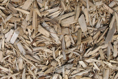 biomass boilers Bapchild